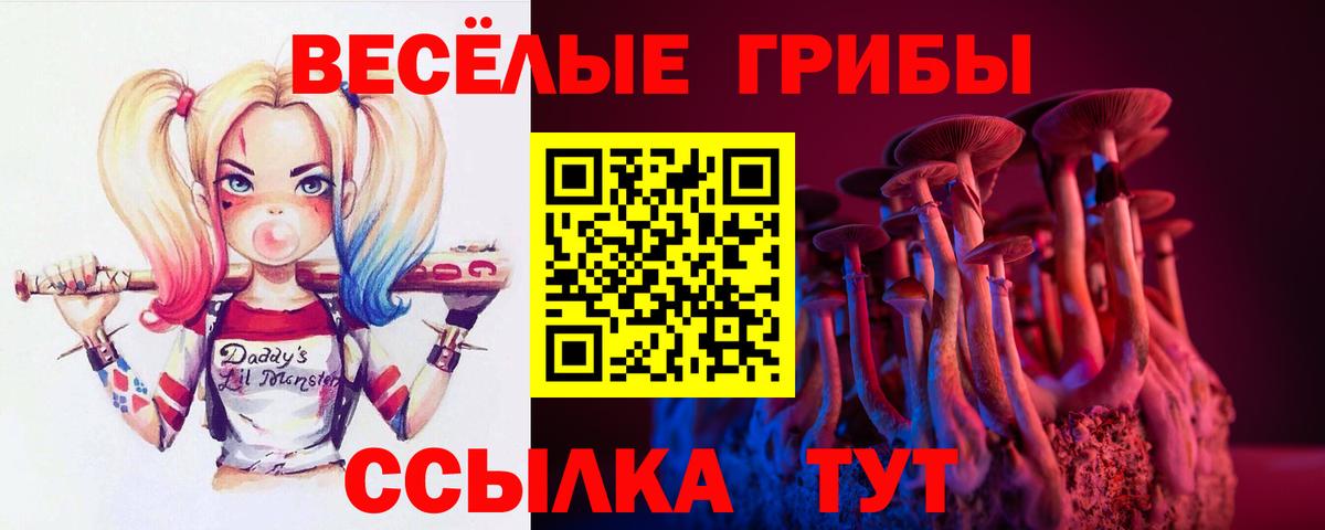 Псилоцибиновые грибы Psilocybine cubensis  Галлюциногенные грибы Cubensis  Орехово-Зуево  где купить   Вход с VPN 